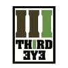 Third Eye Consulting Services & Solutions Logo