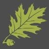 Thomas College Logo