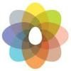 Thyme Maternity Logo