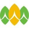 Tiens Group Logo