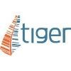 Tiger Energy Services Logo