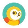 TinyOwl Technology Logo
