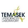 TLL Logo