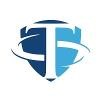TOAE Security Solutions Logo