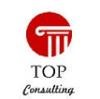 TOP Consulting Logo