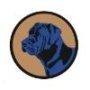 Top Dawg Electronics Logo