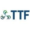 Top Talent Firm Logo