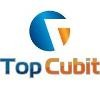 TopCubit IT Services Logo