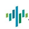 Torchlight (MA) Logo