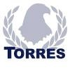 Torres Advanced Enterprise Solutions Logo