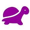 Tortuga Marketing Logo