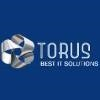 Torus Solutions Logo