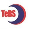 Total eBiz Solutions Logo