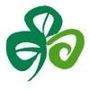 Tourism Ireland Logo