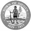 Town of Saugus, Massachusetts Logo