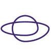 Trans Link Systems Logo