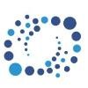 Transcendent Investment Management Logo