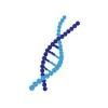 Transgenomic Logo