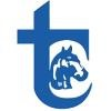 Transportes Cavalinho Logo