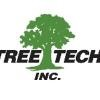 Tree Tech (MA) Logo