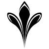 Tri Valley Plastic Surgery Logo