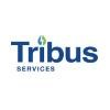 Tribus Services Logo