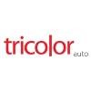 Tricolor Auto Logo