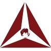 Tricon Infotech Logo