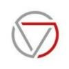 TRICONNECT Consulting Logo