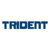 Trident Automobiles Logo