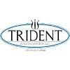 Trident Building Systems Logo