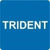 Trident Hyundai Logo