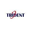Trident Information Systems Logo
