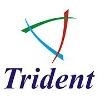 Trident Infosol Logo