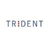 Trident Systems Logo