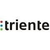 Triente Global Services Logo