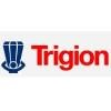 Trigion Logo