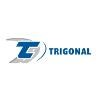 Trigonal Engenharia Logo