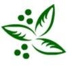 Trillium Charter School Logo