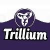 Trillium Collective Logo