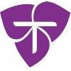 Trillium Sales Group Logo
