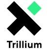 Trillium Systems Logo