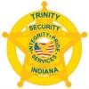 Trinity Executive Services Logo