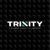 Trinity Logistics Logo