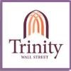 Trinity Real Estate Logo