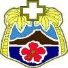Tripler Army Medical Center Logo
