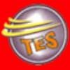 Triton Engineering Soluitons Logo