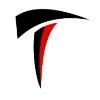 Triton Group Logo