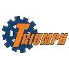 Triumph Employment Solutions Logo