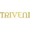 Triveni Global Software Services Logo